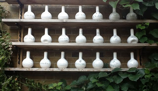 CHELSEA PHYSIC GARDENS