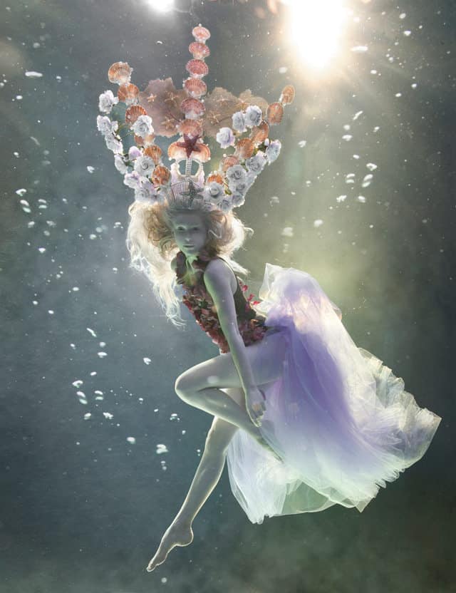 Underwater Photographer Zena Holloway Interview Lemontrend