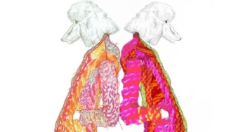 GABRIELLA PICCOLO FASHION DESIGNER LONDON