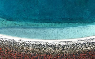 AERIAL PHOTOGRAPHER TOMMY CLARKE