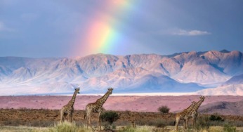 KYLE GOETSCH INTERVIEW: NIGHT SKY, LANDSCAPE & WILDLIFE PHOTOGRAPHY