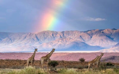 KYLE GOETSCH INTERVIEW: NIGHT SKY, LANDSCAPE & WILDLIFE PHOTOGRAPHY