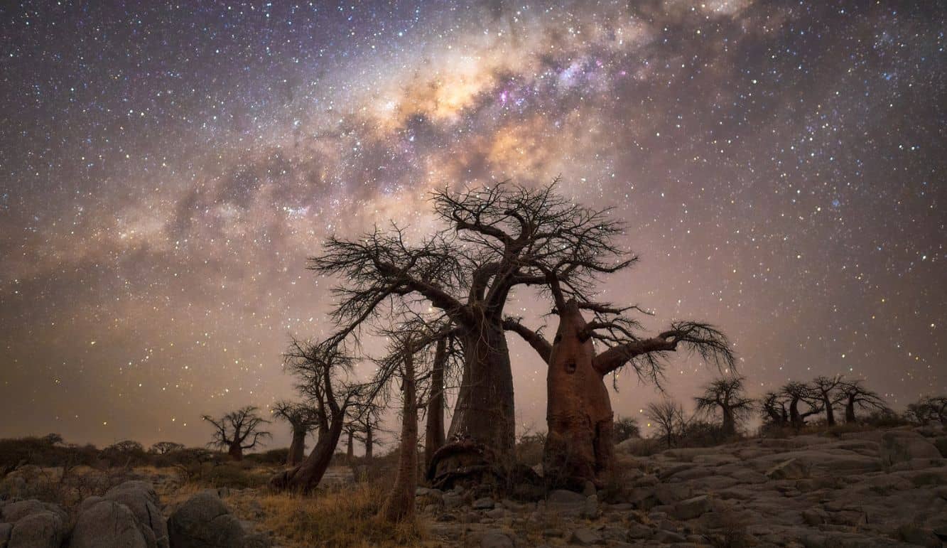 kyle-goetsch-quiver-tree-namibia-stars Kyle Goetsch quiver tree Namibia Stars